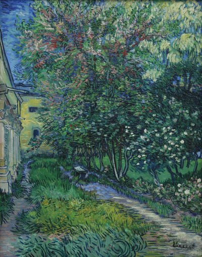 Der Garten der Anstalt in Saint-Rémy von Vincent van Gogh